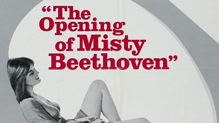 Top 10 Porn Movies (The Opening of Misty Beethoven)